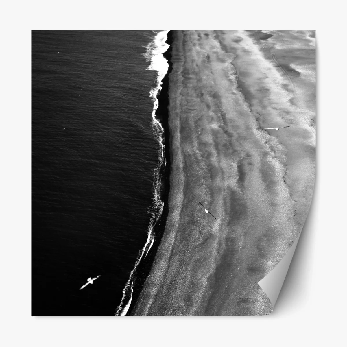 Repositionierbarer Aufkleber monochrome küstenaufnahme aus der luft – Wallnifity® Repositionierbarer Aufkleber monochrome küstenaufnahme aus der luft – Wallnifity®