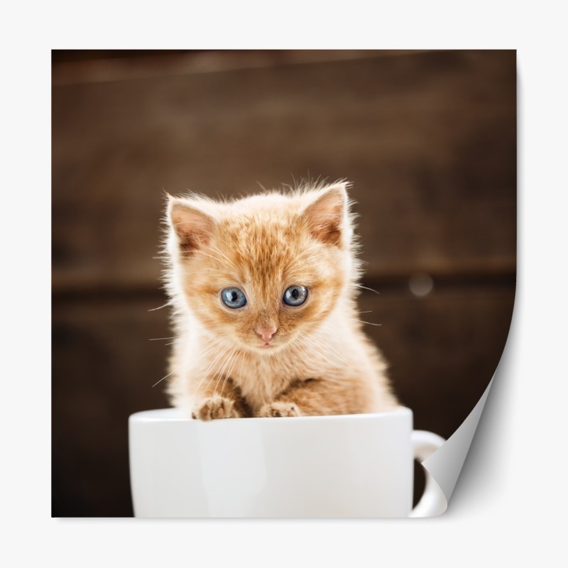 Repositionierbarer Aufkleber rötliches kätzchen in einer teetasse