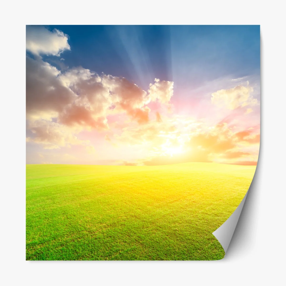 Repositionierbarer Aufkleber sonnenbeschienene wiese bei sonnenuntergang – Wallnifity® Repositionierbarer Aufkleber sonnenbeschienene wiese bei sonnenuntergang – Wallnifity®