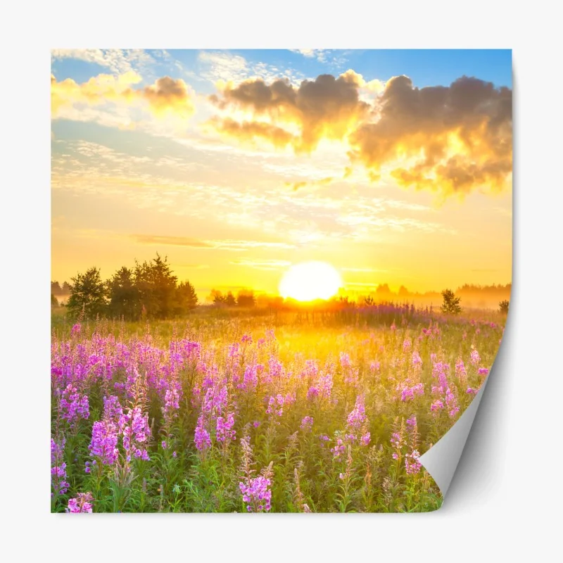 Repositionierbarer Aufkleber sonnenaufgang über violetter wildblumenwiese