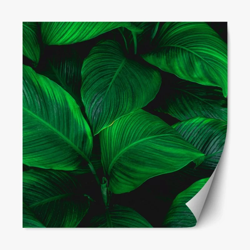 Repositionierbarer Aufkleber Matterhorn majestät vom Gornergrat – Wallnifity®