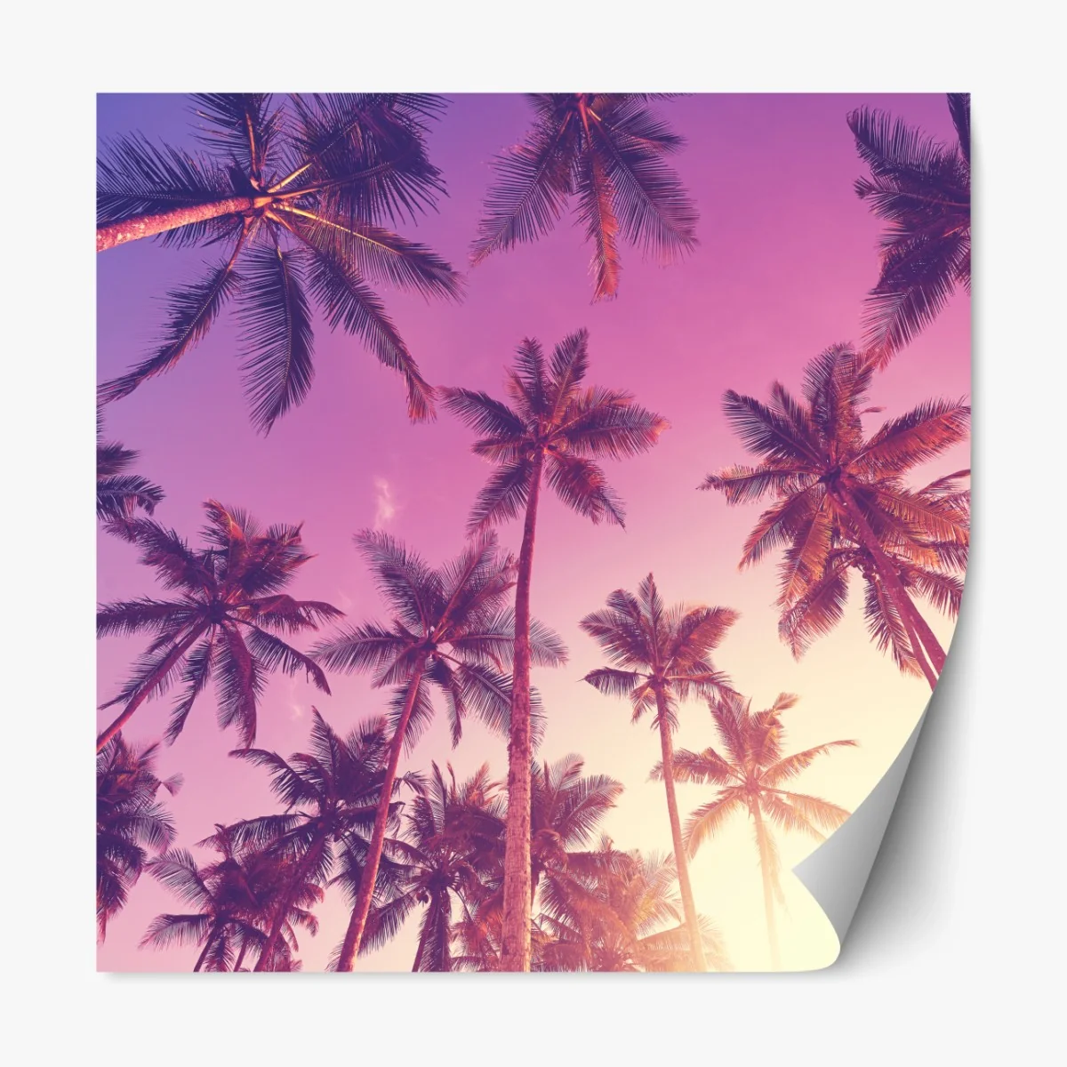 Repositionierbarer Aufkleber tropische palmen beim sonnenuntergang – Wallnifity® Repositionierbarer Aufkleber tropische palmen beim sonnenuntergang – Wallnifity®