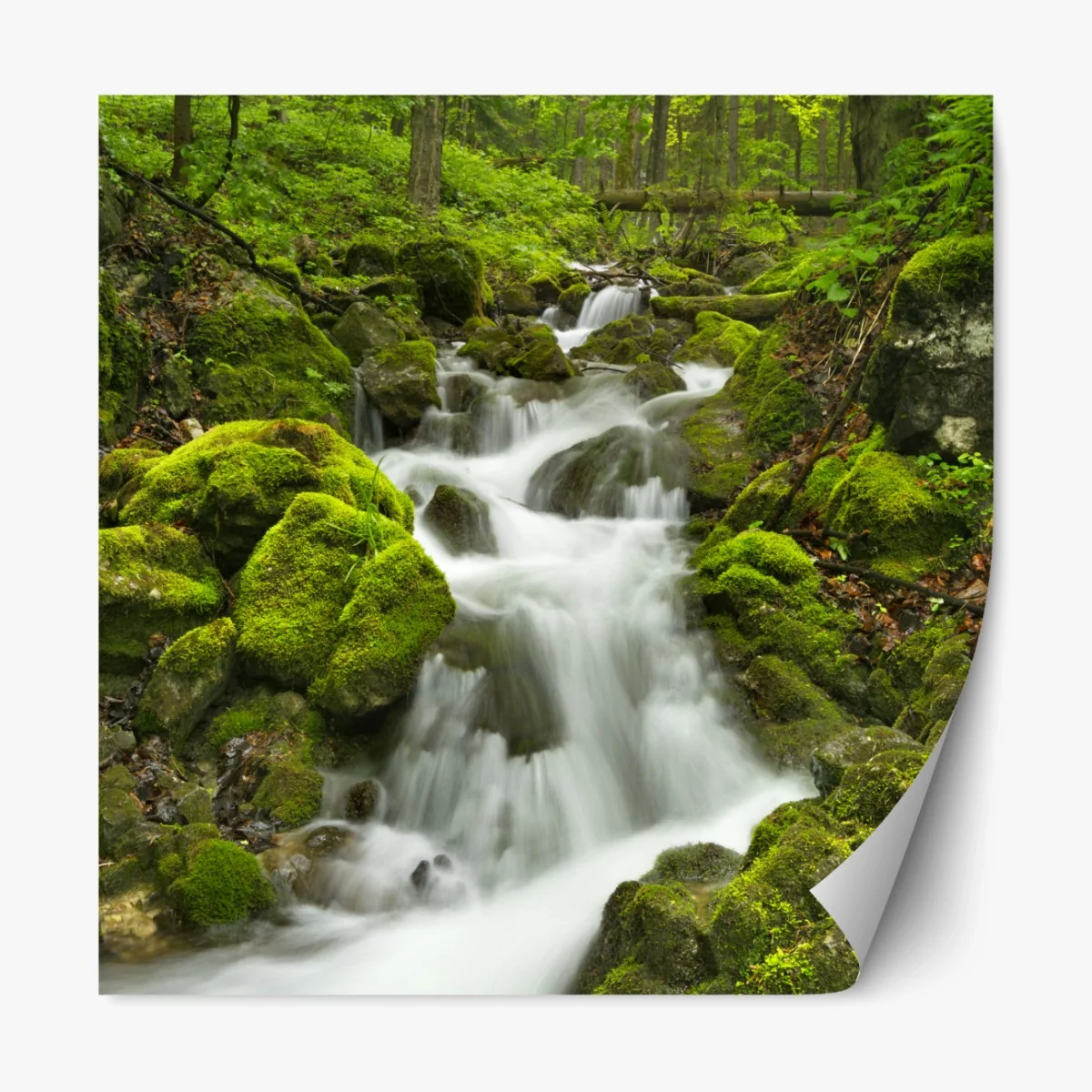 Repositionierbarer Aufkleber moosiger wasserfall – Wallnifity® Repositionierbarer Aufkleber moosiger wasserfall – Wallnifity®