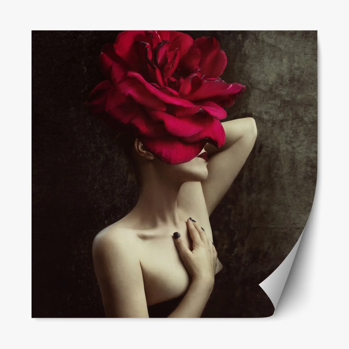 Repositionierbarer Aufkleber frau mit rosenkopf surreales blumenporträt – Wallnifity® Repositionierbarer Aufkleber frau mit rosenkopf surreales blumenporträt – Wallnifity®