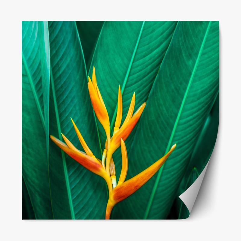 Repositionierbarer Aufkleber holzsteg im sonnenaufgang – Wallnifity®