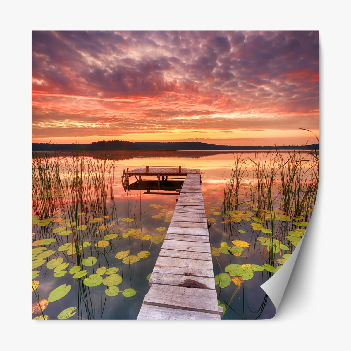 Repositionierbarer Aufkleber sonnenaufgang über ruhigem see mit steg – Wallnifity® Repositionierbarer Aufkleber sonnenaufgang über ruhigem see mit steg – Wallnifity®