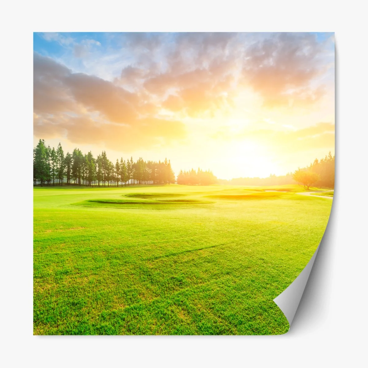 Repositionierbarer Aufkleber sonnenbeschienene wiese und wald bei sonnenaufgang – Wallnifity® Repositionierbarer Aufkleber sonnenbeschienene wiese und wald bei sonnenaufgang – Wallnifity®