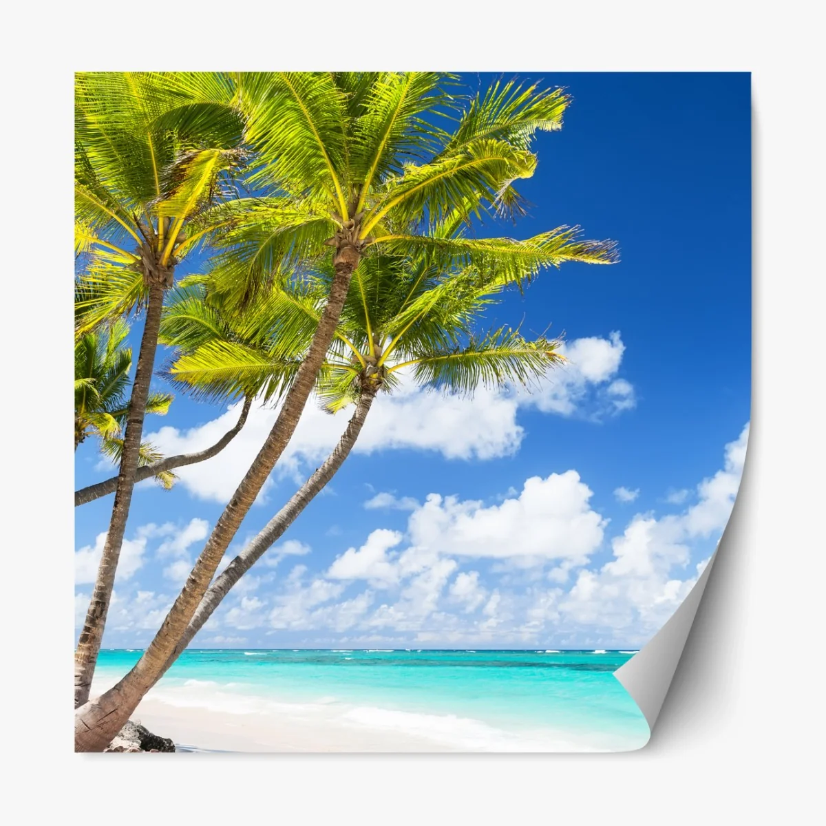 Repositionierbarer Aufkleber tropischer palmstrand in Punta Cana – Wallnifity® Repositionierbarer Aufkleber tropischer palmstrand in Punta Cana – Wallnifity®