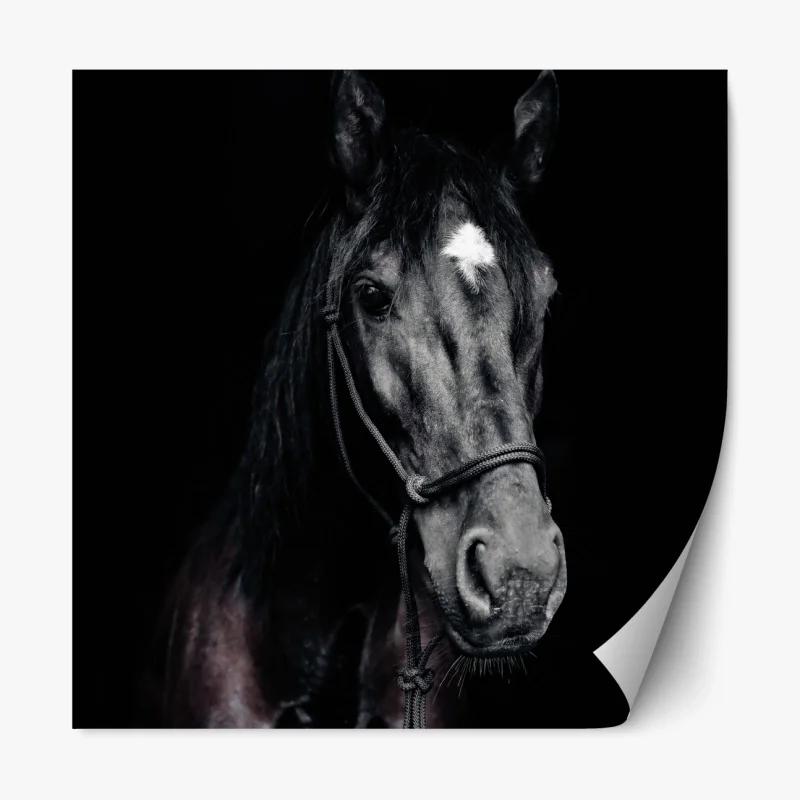 Repositionierbarer Aufkleber majestätisches pferdeporträt