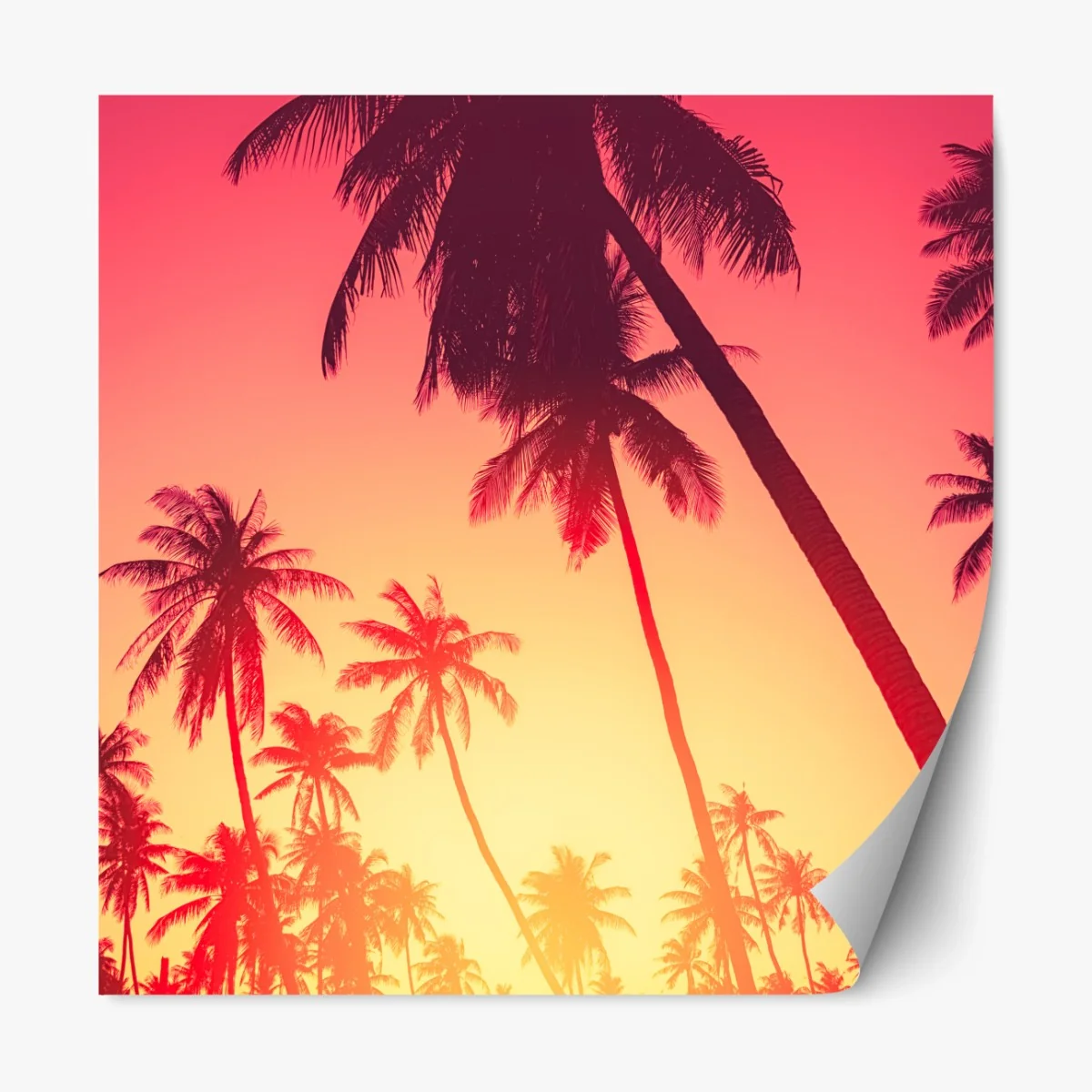 Repositionierbarer Aufkleber tropischer sonnenuntergang mit palmen – Wallnifity® Repositionierbarer Aufkleber tropischer sonnenuntergang mit palmen – Wallnifity®