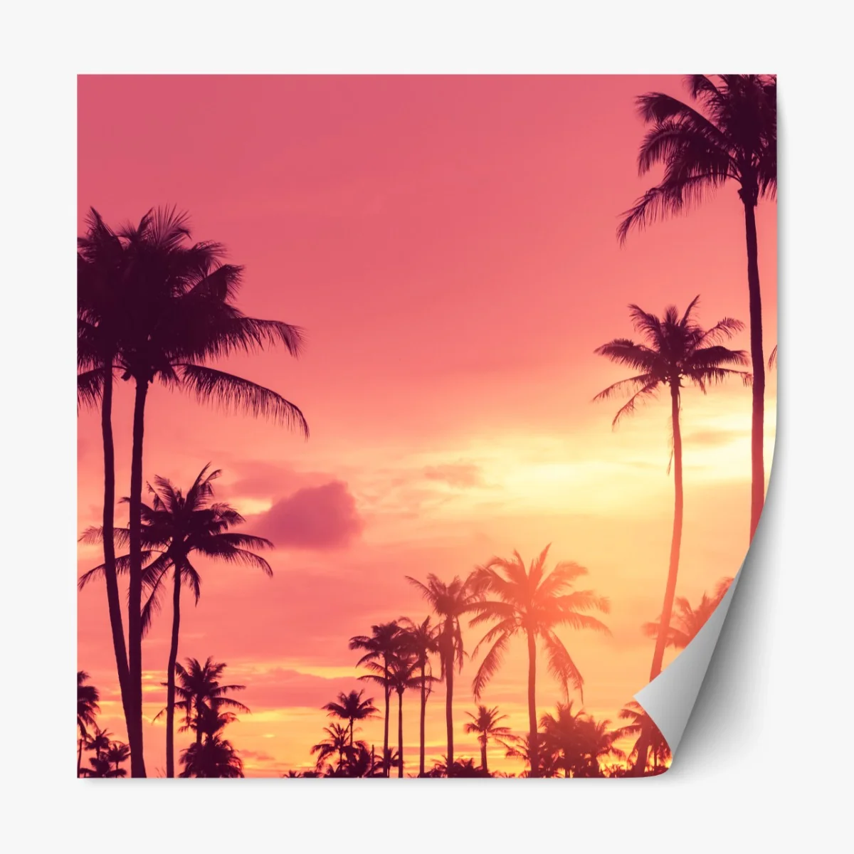 Repositionierbarer Aufkleber rosa tropischer sonnenuntergang mit palmen – Wallnifity® Repositionierbarer Aufkleber rosa tropischer sonnenuntergang mit palmen – Wallnifity®