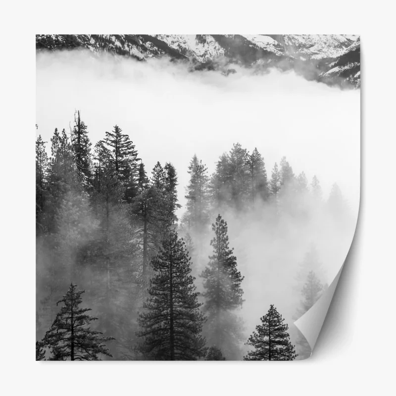 Repositionierbarer Aufkleber nebliger aquarellwald – Wallnifity®