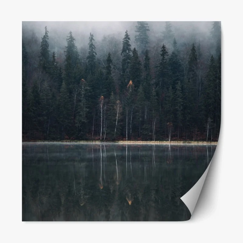 Repositionierbarer Aufkleber neblige waldreflexion