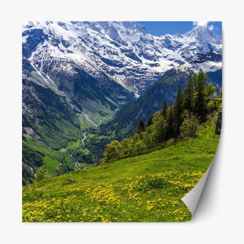 Repositionierbarer Aufkleber alpwiese im frühling vor schneebedeckten gipfeln