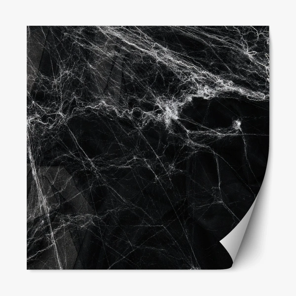 Repositionierbarer Aufkleber gespenstisches spinnennetz auf schwarzem hintergrund – Wallnifity® Repositionierbarer Aufkleber gespenstisches spinnennetz auf schwarzem hintergrund – Wallnifity®