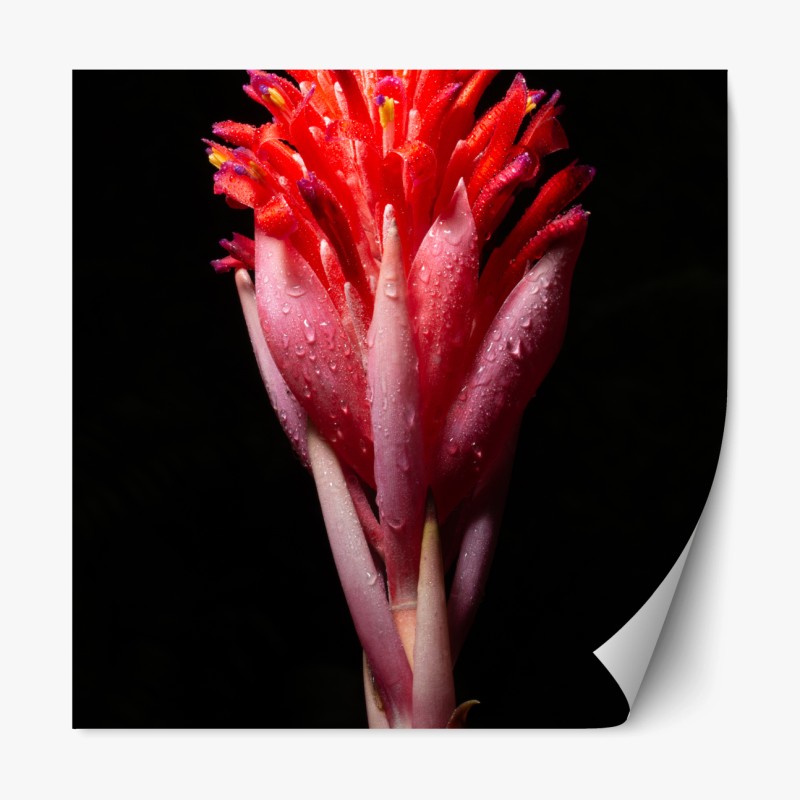 Repositionierbarer Aufkleber sonnige sanft hügelnde landschaft der Toskana – Wallnifity®