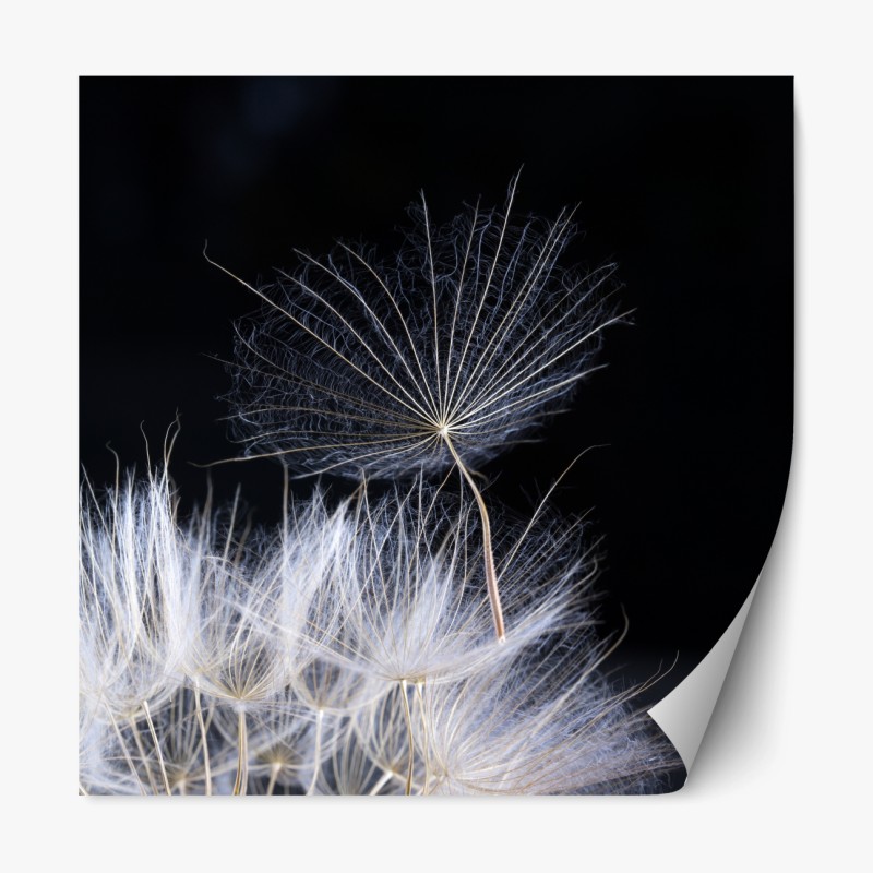 Repositionierbarer Aufkleber muster mit lebhaften orangen tulpen – Wallnifity®