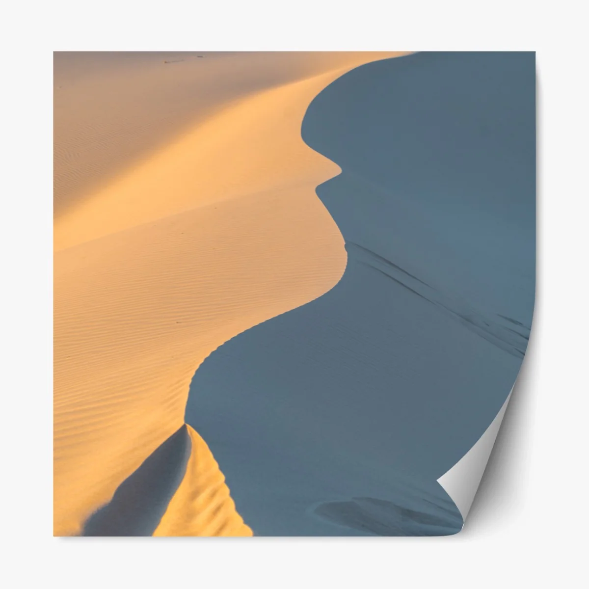 Repositionierbarer Aufkleber goldene dünenkurven – Wallnifity® Repositionierbarer Aufkleber goldene dünenkurven – Wallnifity®