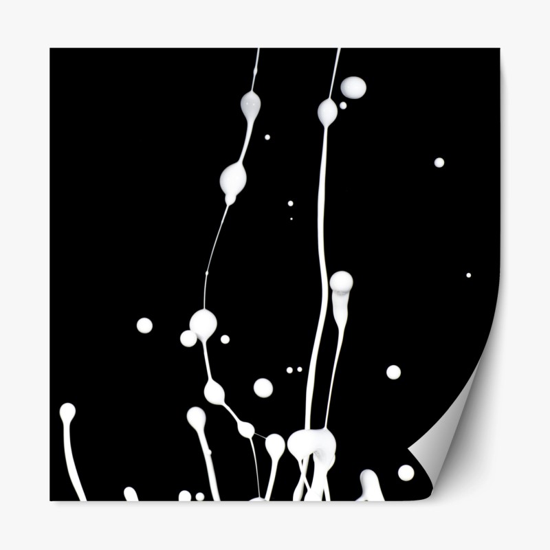 Repositionierbarer Aufkleber tropisches monstera-blattmuster – Wallnifity®