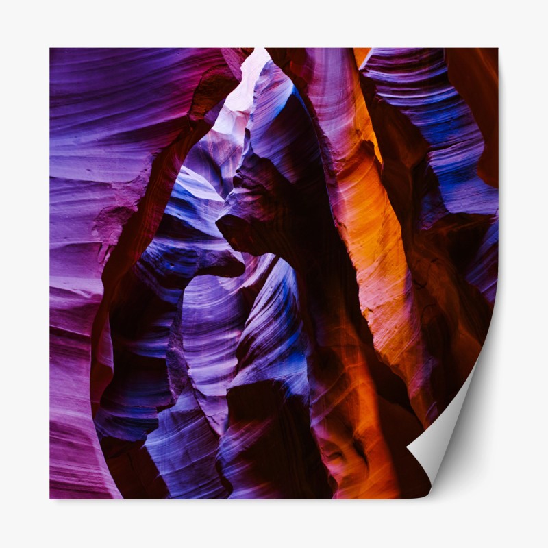 Repositionierbarer Aufkleber zartes beige botanisches muster – Wallnifity®