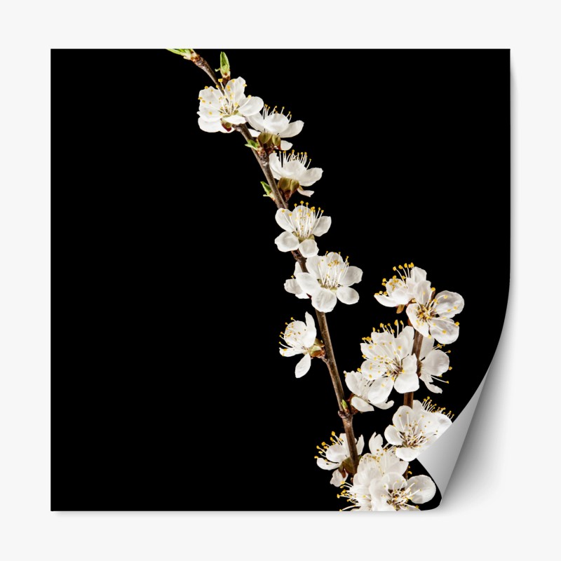 Repositionierbarer Aufkleber majestätischer schneebedeckter berggipfel – Wallnifity®