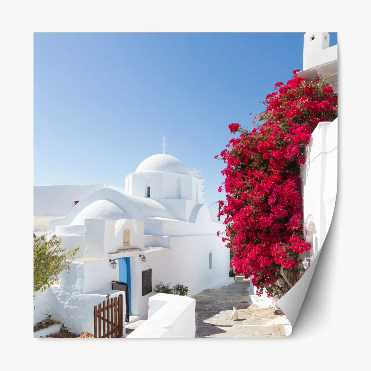 Repositionierbarer Aufkleber sonnige gasse auf der insel mit leuchtender buganvillea – Wallnifity® Repositionierbarer Aufkleber sonnige gasse auf der insel mit leuchtender buganvillea – Wallnifity®