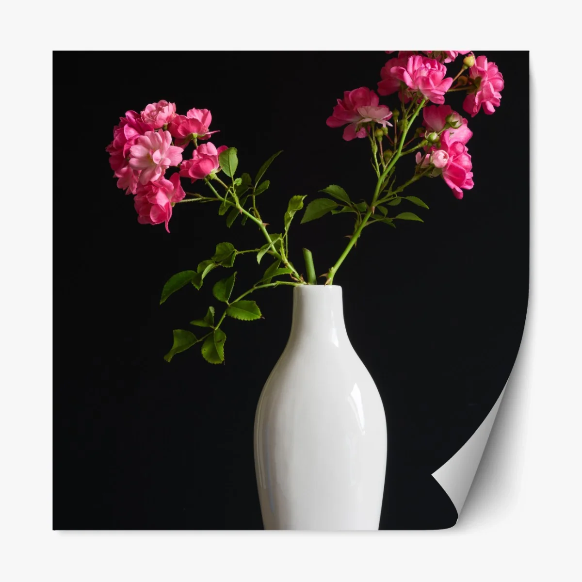 Repositionierbarer Aufkleber rosa rosen in weißer vase – Wallnifity® Repositionierbarer Aufkleber rosa rosen in weißer vase – Wallnifity®