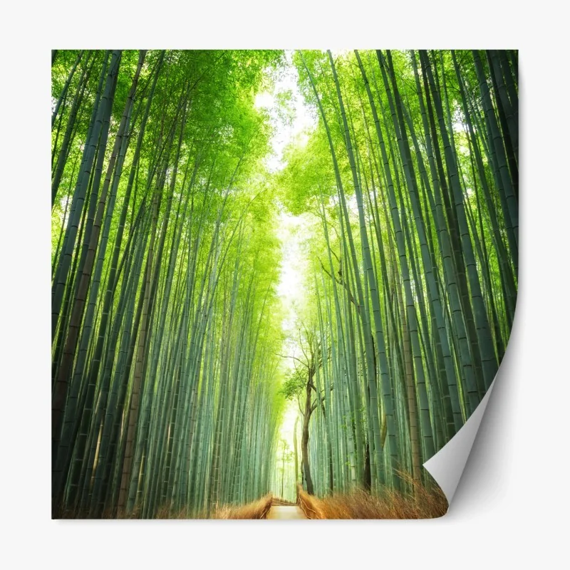 Repositionierbarer Aufkleber weg durch den bambushain von Arashiyama