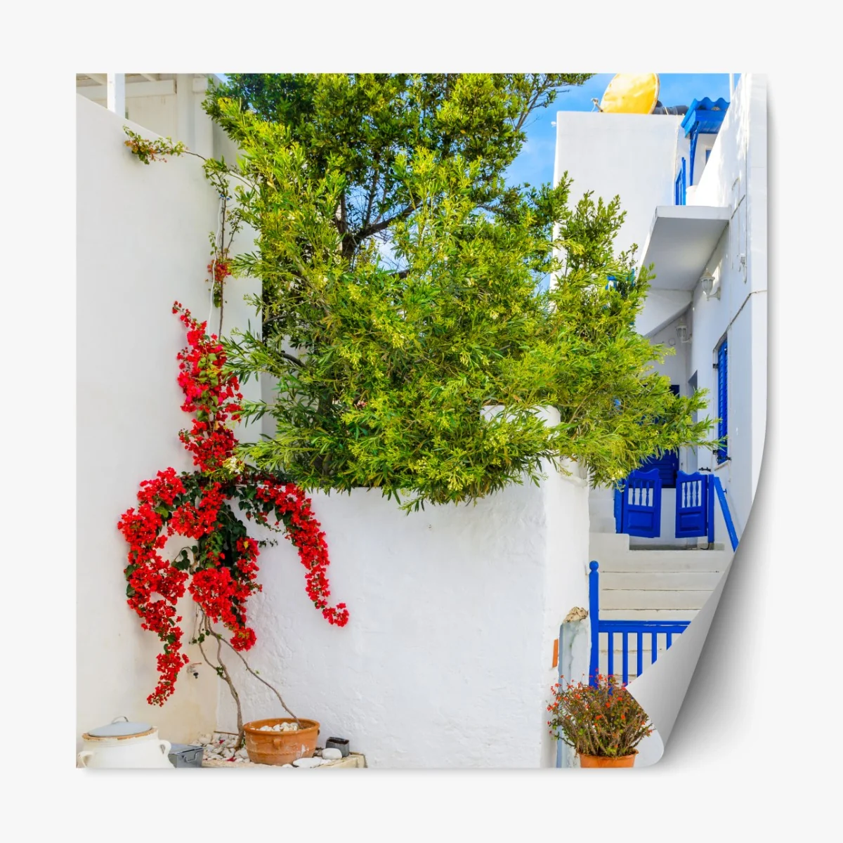 Repositionierbarer Aufkleber sonniger mediterraner innenhof mit bougainvillea – Wallnifity® Repositionierbarer Aufkleber sonniger mediterraner innenhof mit bougainvillea – Wallnifity®