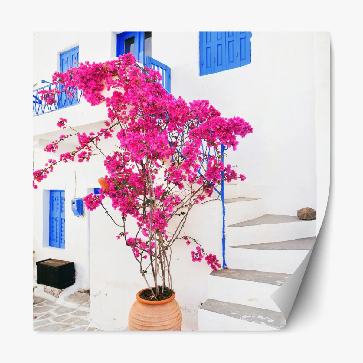 Repositionierbarer Aufkleber rosa bougainvillea vor weißem haus auf griechischer insel – Wallnifity® Repositionierbarer Aufkleber rosa bougainvillea vor weißem haus auf griechischer insel – Wallnifity®