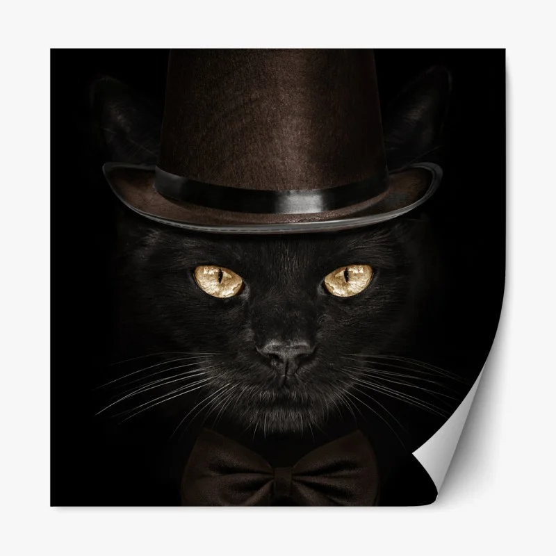 Repositionierbarer Aufkleber elegante schwarze katze mit zylinder und fliege