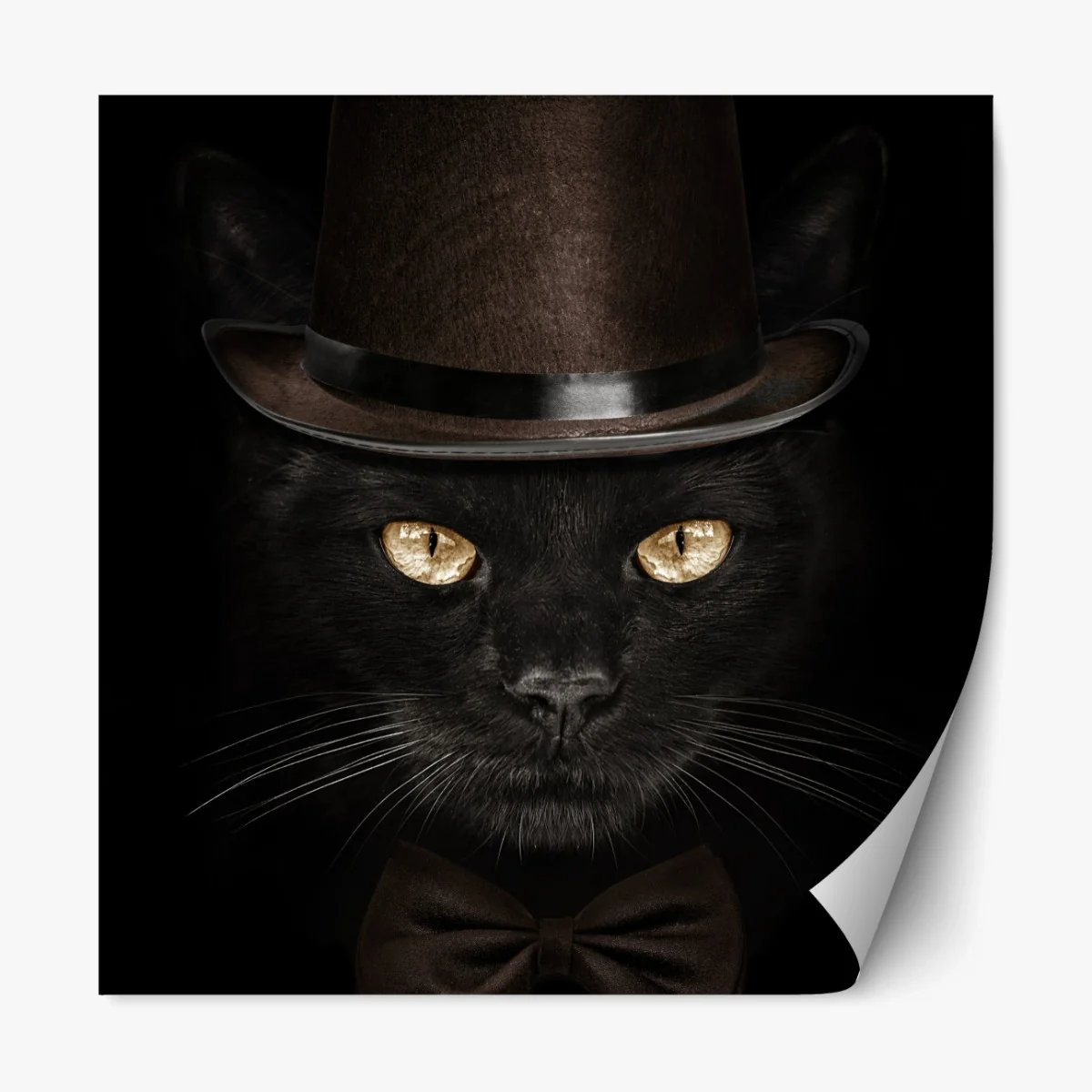 Repositionierbarer Aufkleber elegante schwarze katze mit zylinder und fliege – Wallnifity®