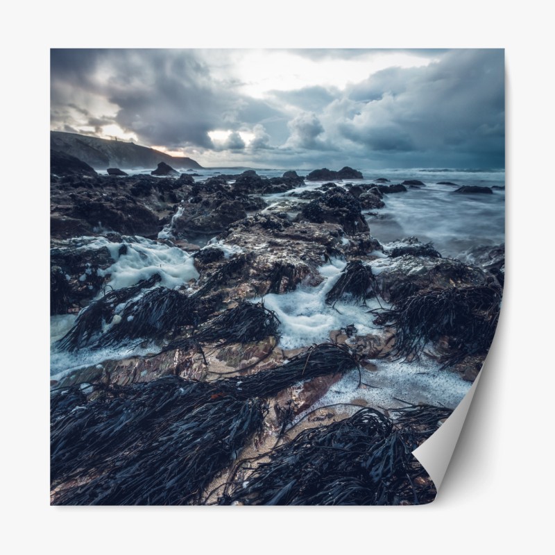 Repositionierbarer Aufkleber niedliches pastell lama-muster – Wallnifity®