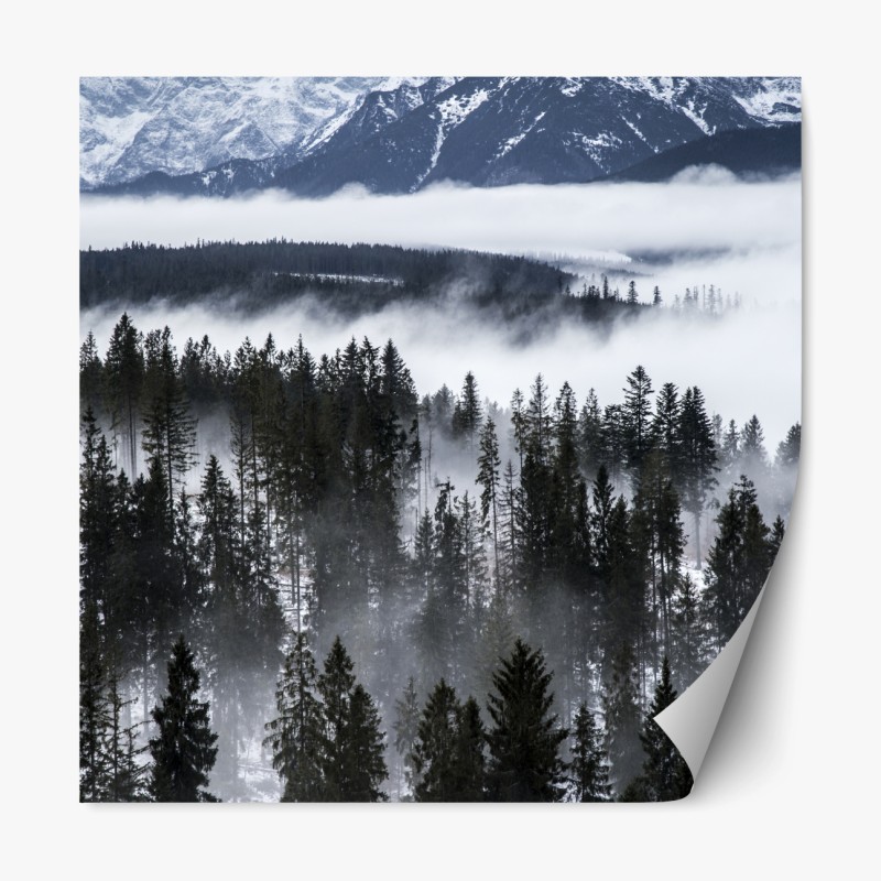 Repositionierbarer Aufkleber Tatra im winternebel