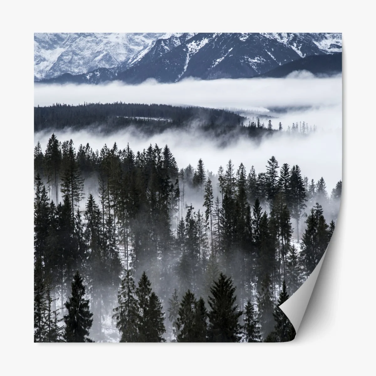 Repositionierbarer Aufkleber Tatra im winternebel – Wallnifity® Repositionierbarer Aufkleber Tatra im winternebel – Wallnifity®