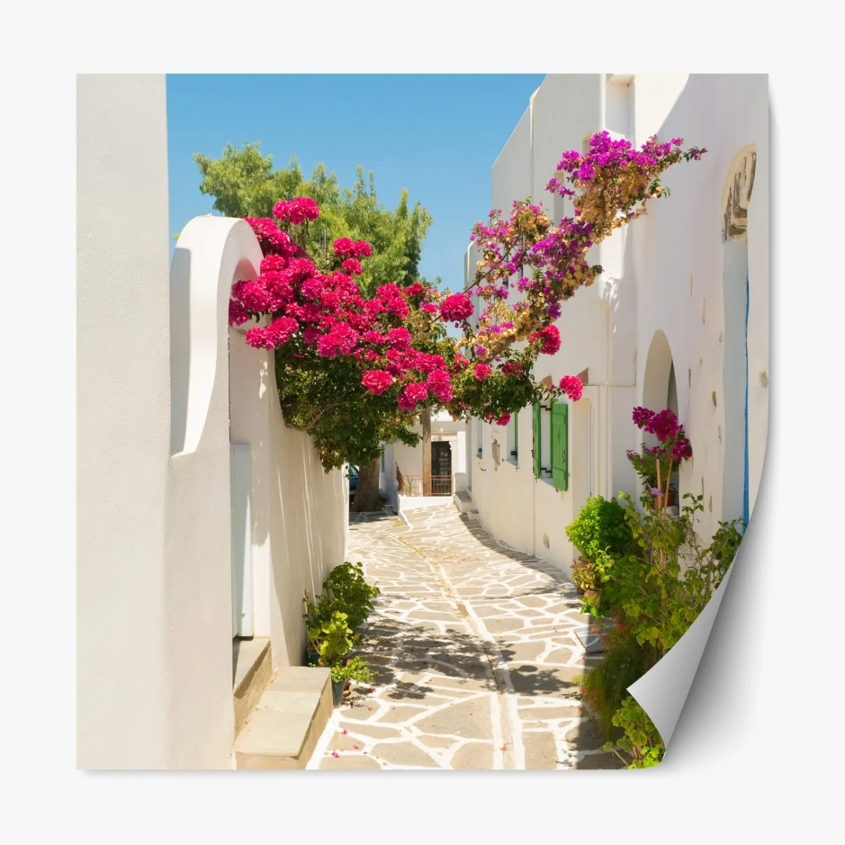 Repositionierbarer Aufkleber sonnige mediterrane gasse mit bougainvillea – Wallnifity® Repositionierbarer Aufkleber sonnige mediterrane gasse mit bougainvillea – Wallnifity®