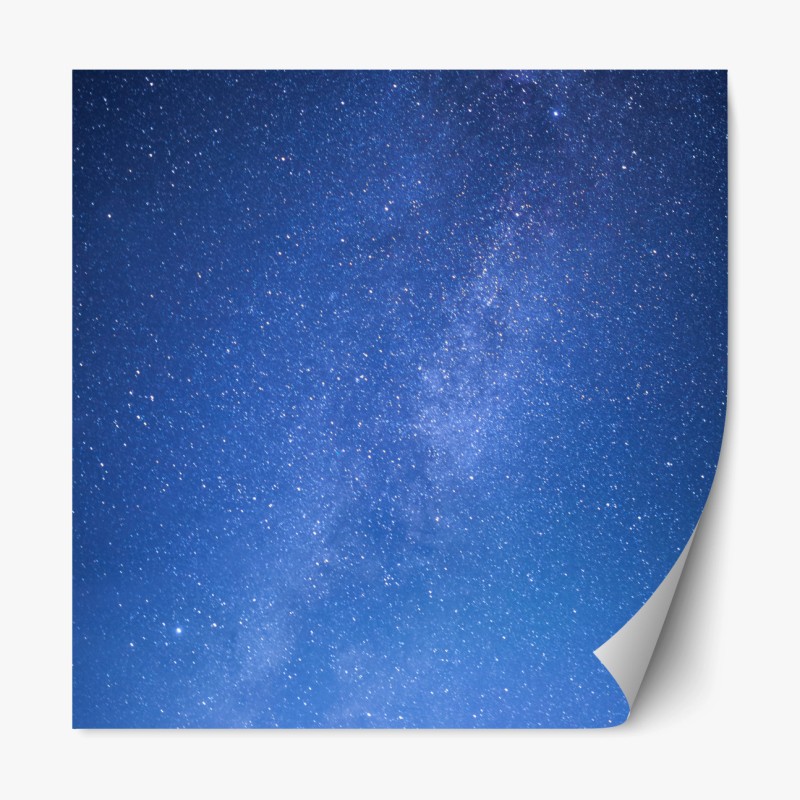 Repositionierbarer Aufkleber ruhiger grüner waldpfad – Wallnifity®