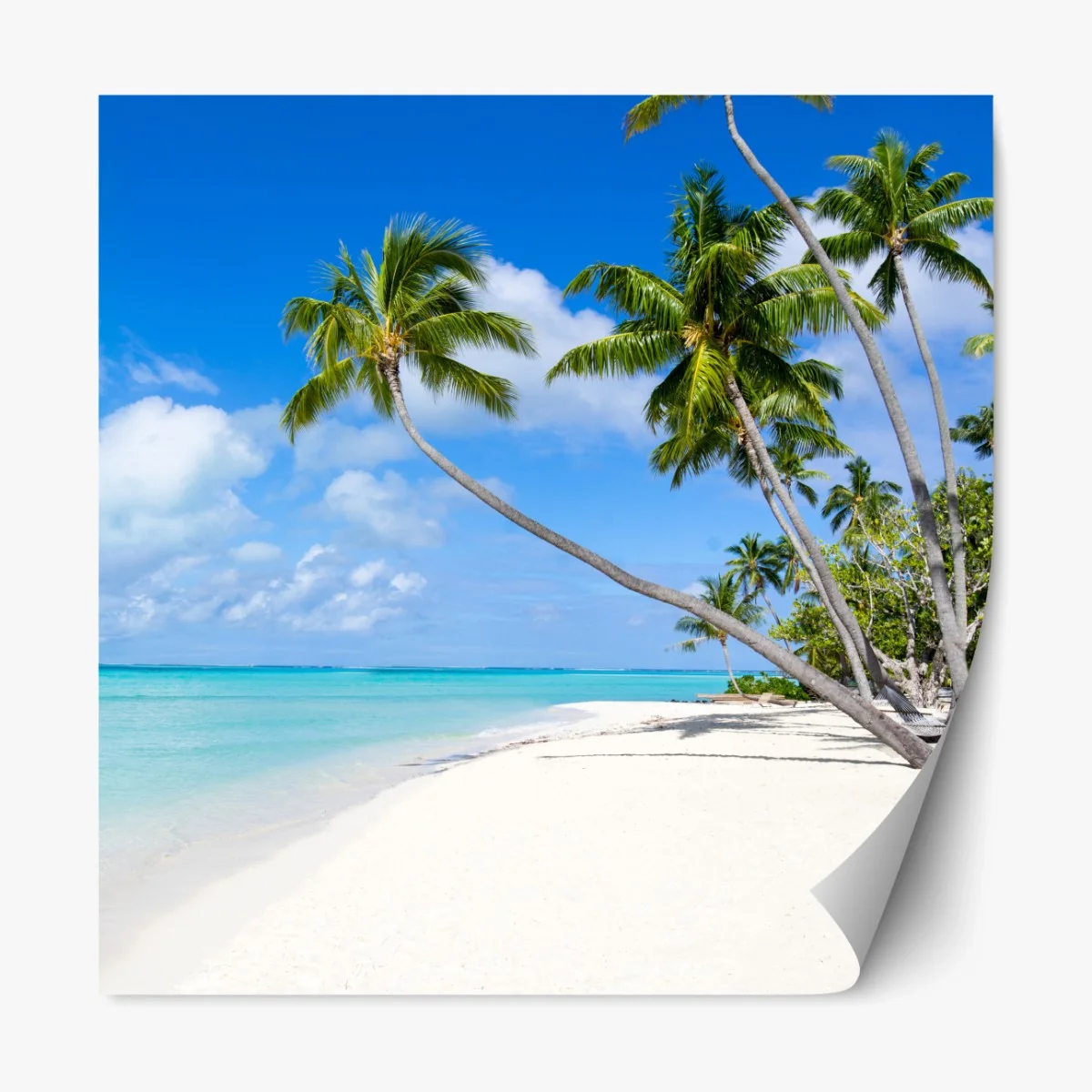 Repositionierbarer Aufkleber tropischer palmenstrand – Wallnifity® Repositionierbarer Aufkleber tropischer palmenstrand – Wallnifity®