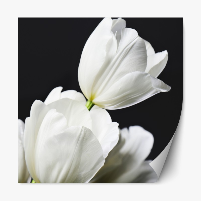 Repositionierbarer Aufkleber lebhaftes geometrisches blumenmuster – Wallnifity®