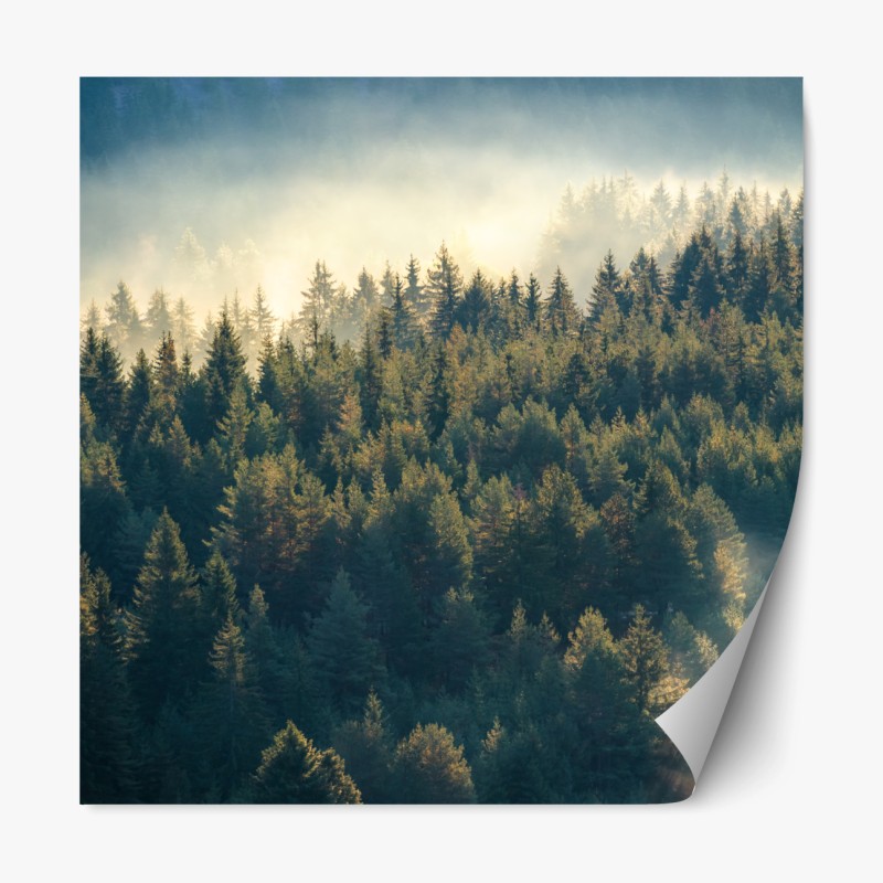 Repositionierbarer Aufkleber verspielte katzen zwischen streifen – Wallnifity®