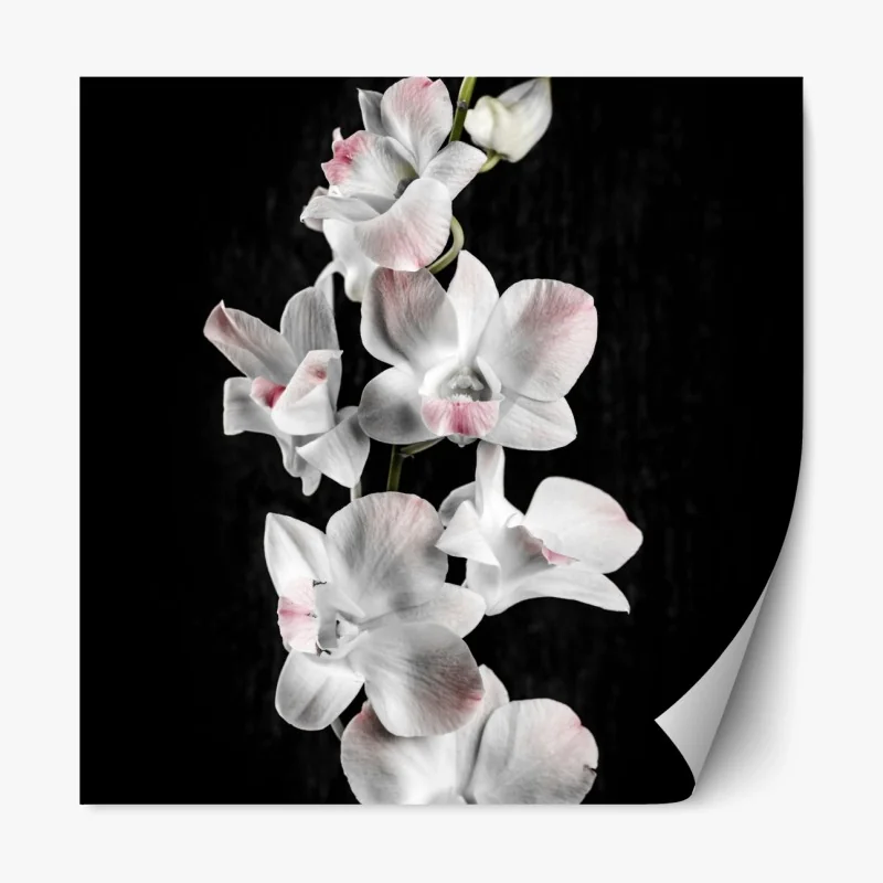 Repositionierbarer Aufkleber blauer see bei Cervinia – Wallnifity®