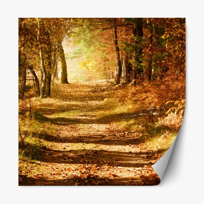 Repositionierbarer Aufkleber herbstlicher waldweg mit goldenem licht