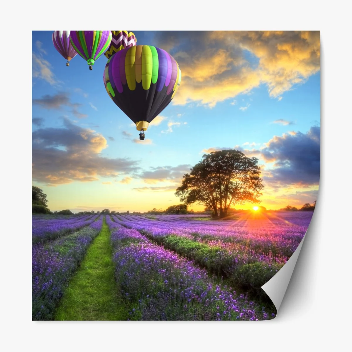 Repositionierbarer Aufkleber lavendersonnenuntergang mit bunten heißluftballons – Wallnifity® Repositionierbarer Aufkleber lavendersonnenuntergang mit bunten heißluftballons – Wallnifity®