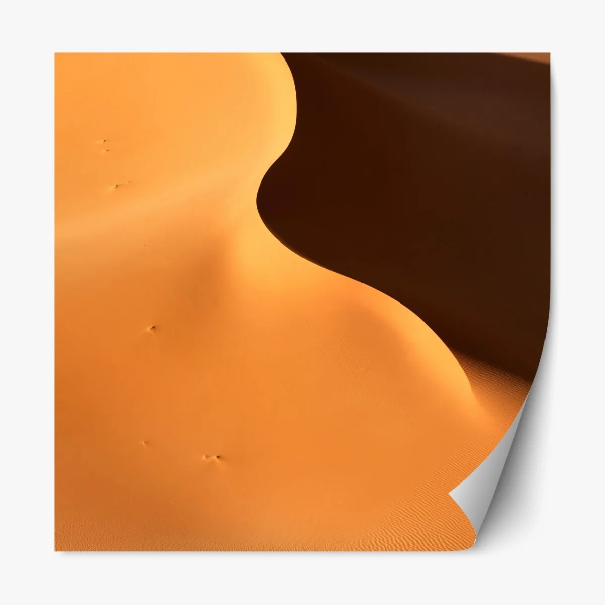 Repositionierbarer Aufkleber goldene dünenkurven – Wallnifity®