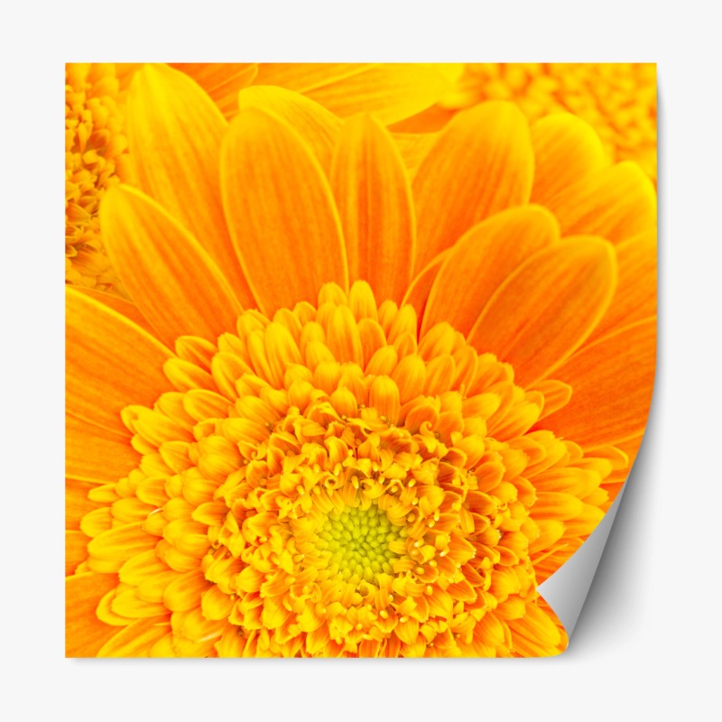 Repositionierbarer Aufkleber strand Karon, Phuket morgendliche ruhe – Wallnifity®