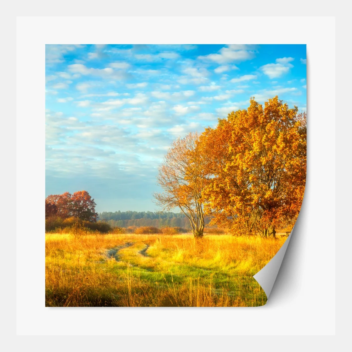 Repositionierbarer Aufkleber goldene herbstwiese – Wallnifity®