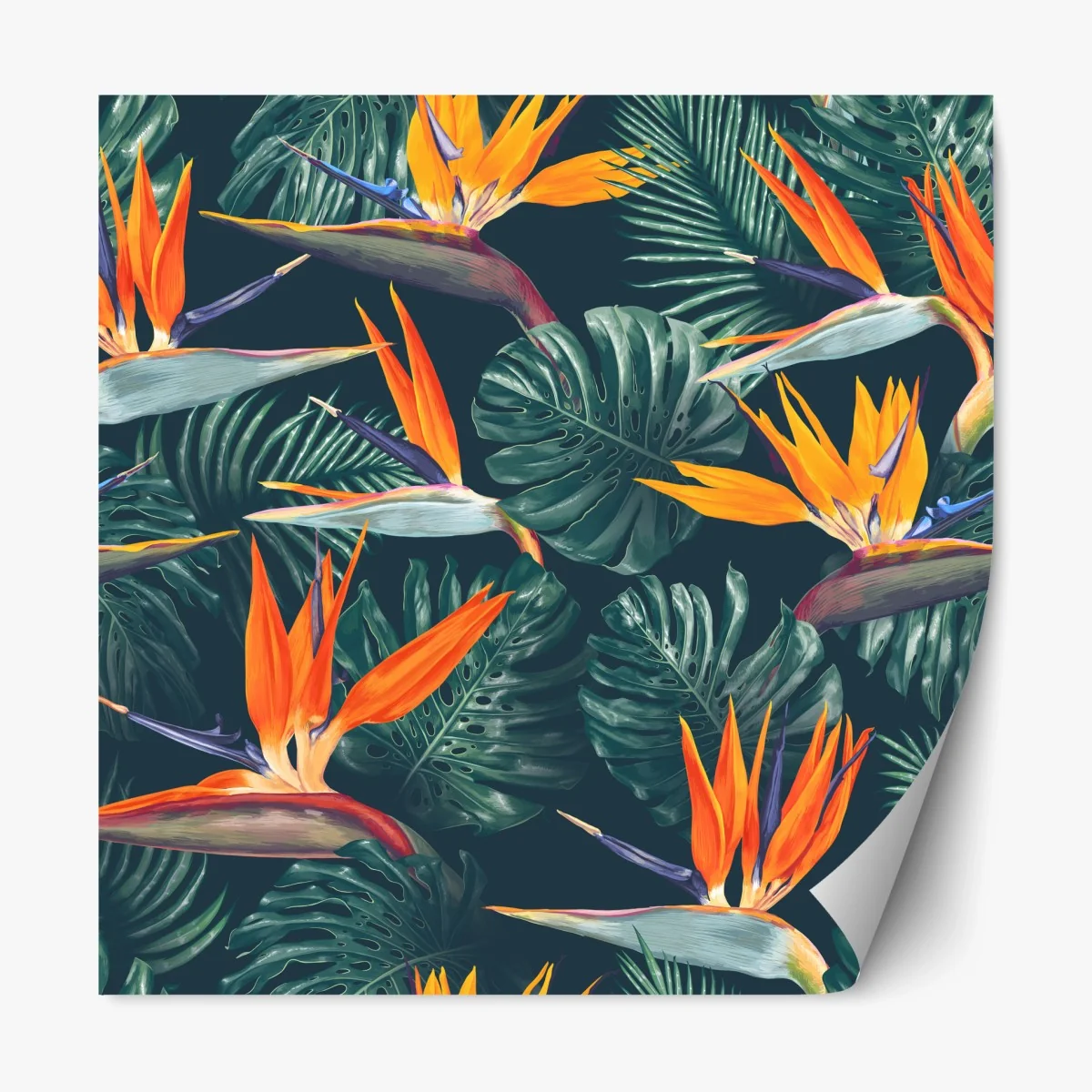 Repositionierbarer Aufkleber tropisches muster mit strelitzie – Wallnifity® Repositionierbarer Aufkleber tropisches muster mit strelitzie – Wallnifity®