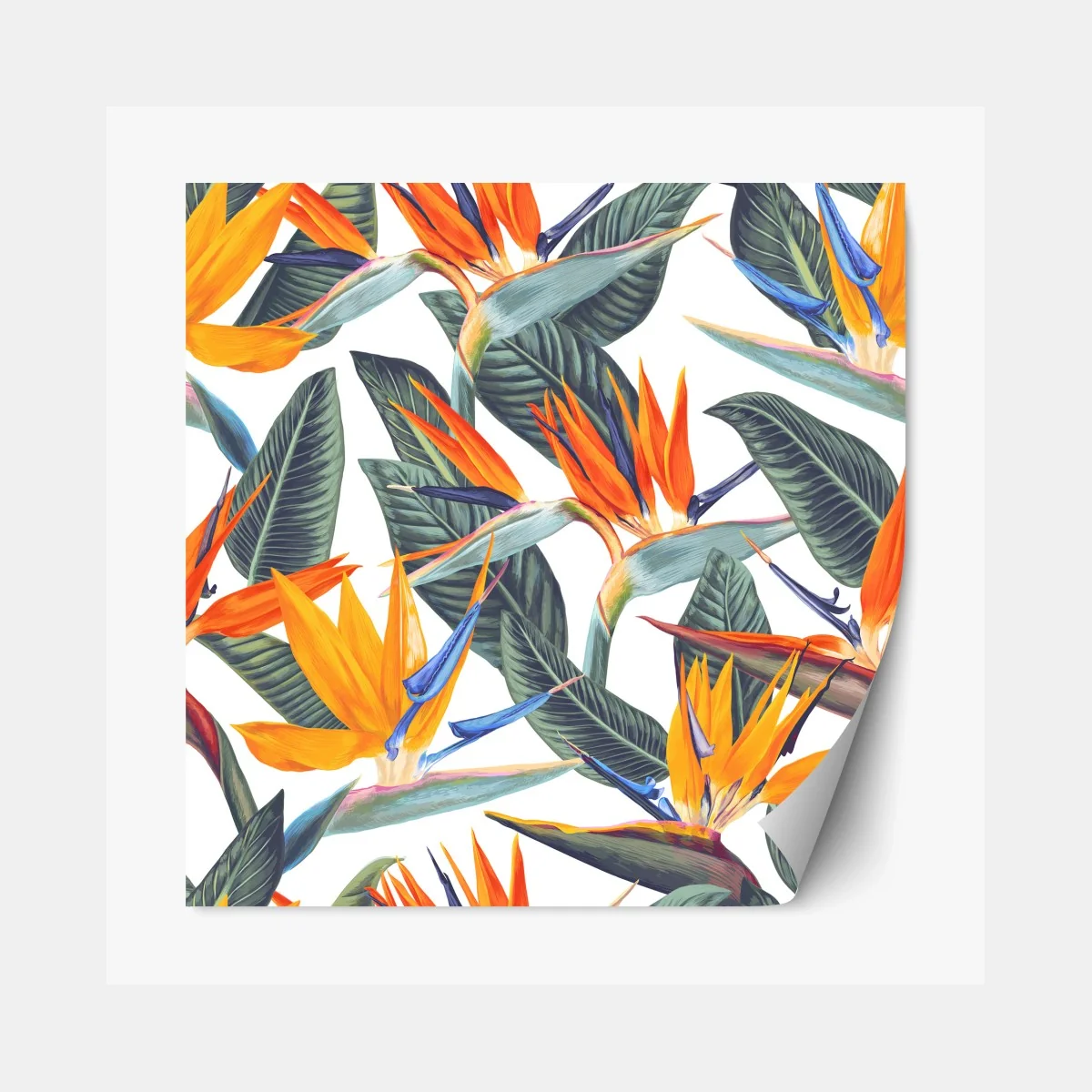 Repositionierbarer Aufkleber tropisches muster mit strelitzien – Wallnifity® Repositionierbarer Aufkleber tropisches muster mit strelitzien – Wallnifity®