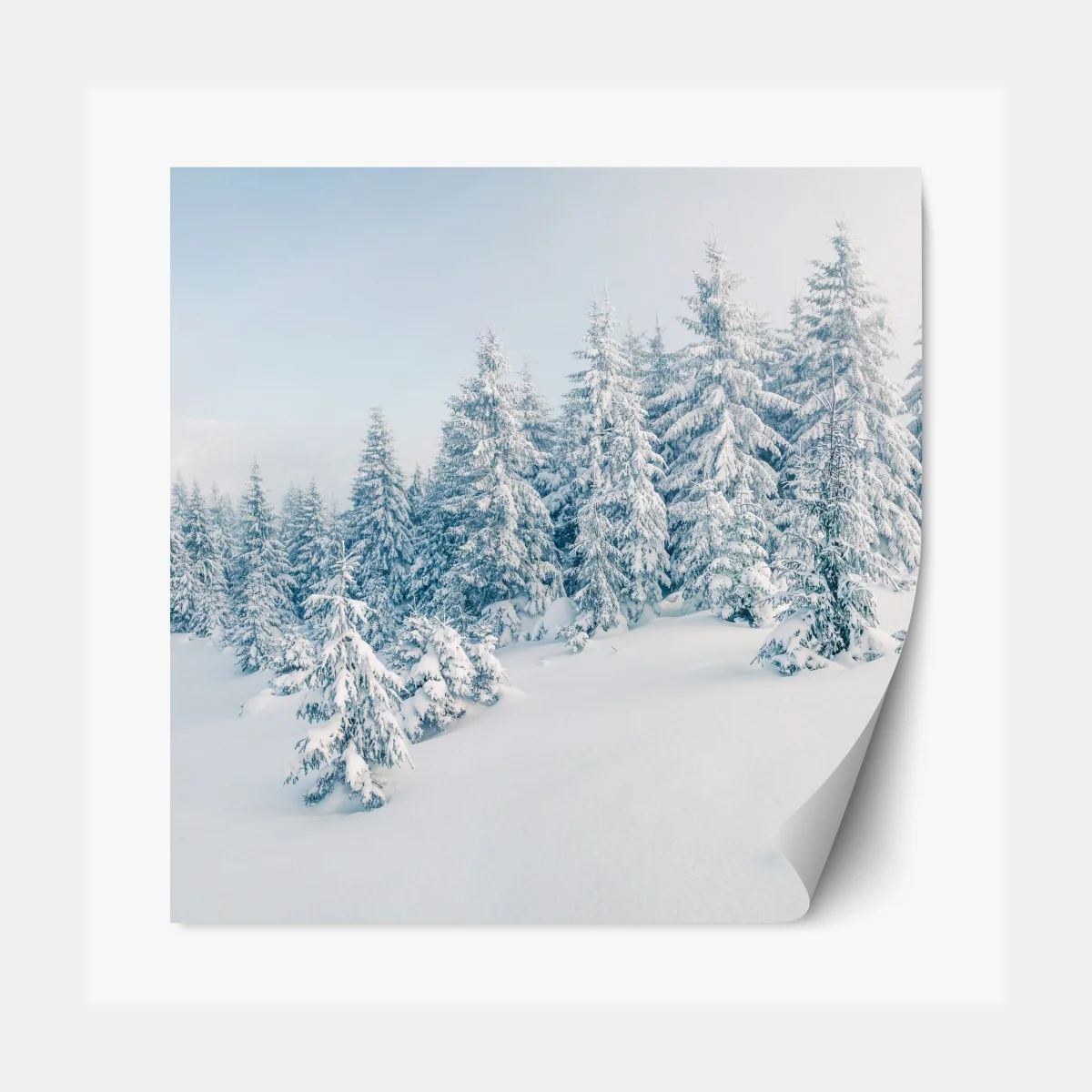 Repositionierbarer Aufkleber winterliche waldpanorama mit schneebedeckten fichten – Wallnifity®