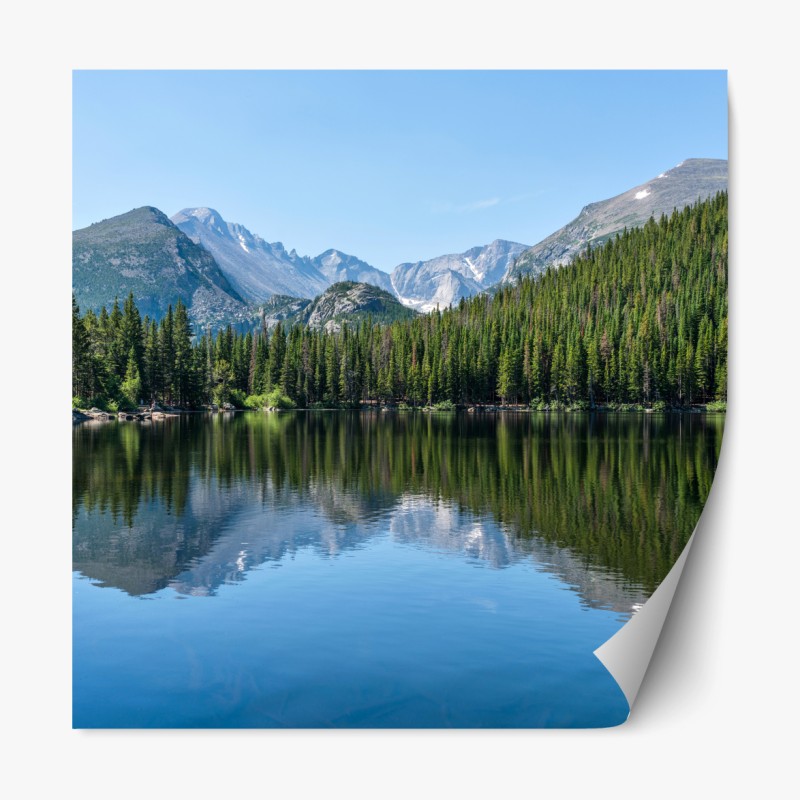 Repositionierbarer Aufkleber muster mit hasenprinzessin – Wallnifity®